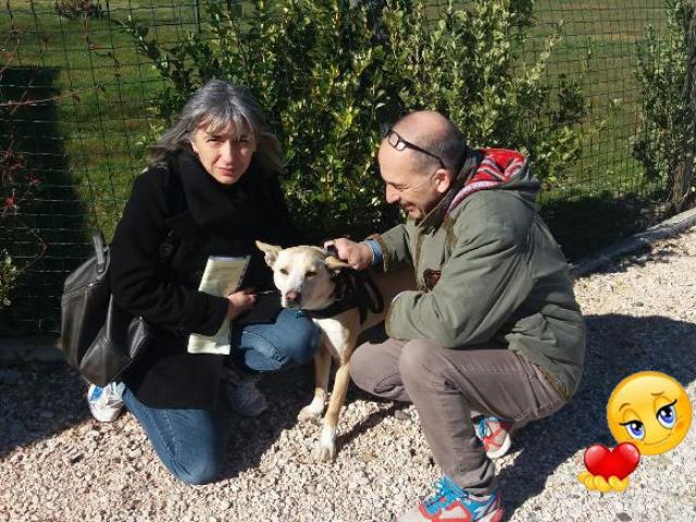 Buona vita, Teddy!
